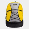 Fashion Backpack Yellow Color Travel Bag