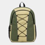 Fashion Backpack Book bag Green Travel Bag